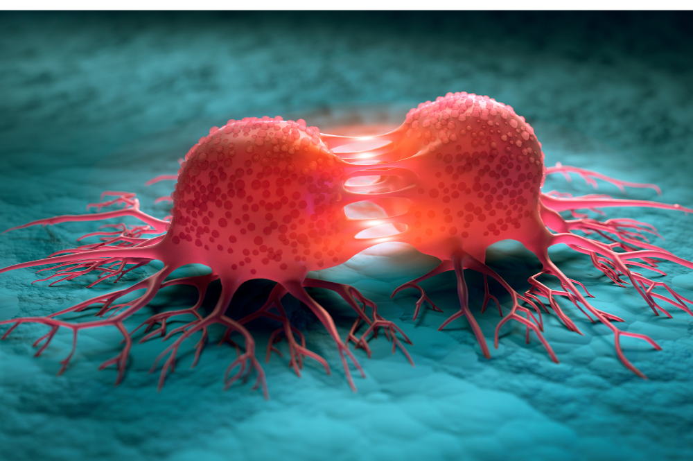 Kancerogeneza – jak powstaje nowotwór?